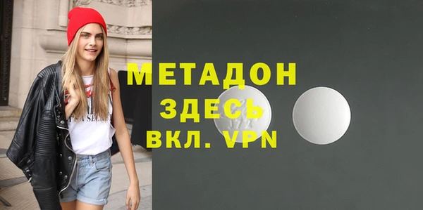индика Алексин