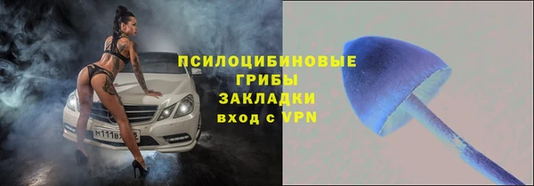 твердый Абаза