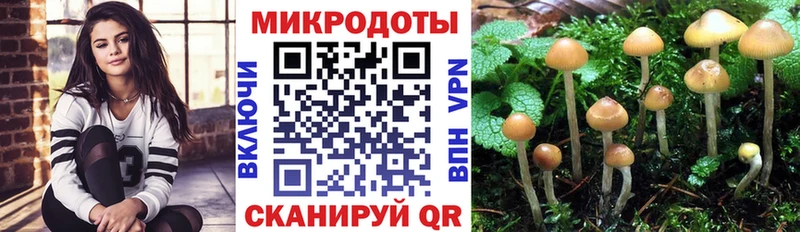 купить закладку  Лысково  гидра   Псилоцибиновые грибы ЛСД 